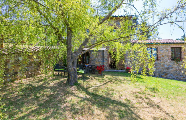 4 bedroom Apartment in Castelnuovo di Val di Cecina with swimming pool and garden - Photo 54