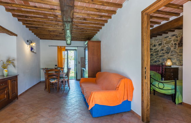 4 bedroom Apartment in Castelnuovo di Val di Cecina with swimming pool and garden - Photo 2