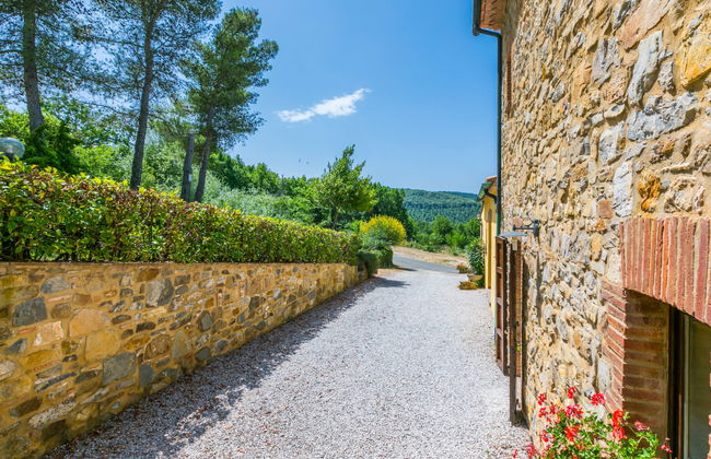 4 bedroom Apartment in Castelnuovo di Val di Cecina with swimming pool and garden - Photo 56