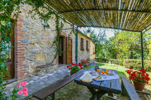 Foto 50 - Apartment mit 3 Schlafzimmern in Castelnuovo di Val di Cecina mit schwimmbad und garten