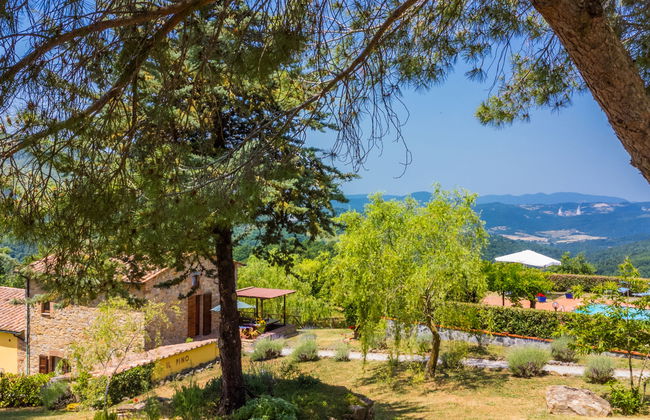 4 bedroom Apartment in Castelnuovo di Val di Cecina with swimming pool and garden - Photo 51