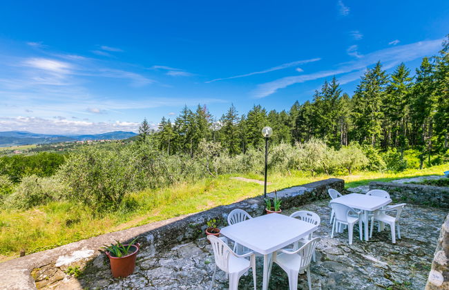 Apartamento de 2 quartos em Pelago com piscina e jardim - Foto 29