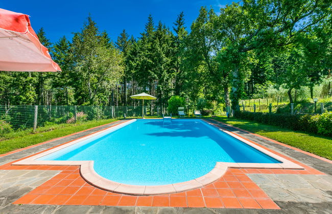Apartamento de 2 quartos em Pelago com piscina e jardim - Foto 33