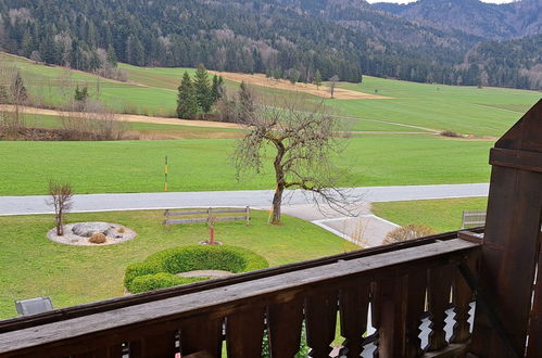 Photo 21 - 1 bedroom Apartment in Oberwang with garden