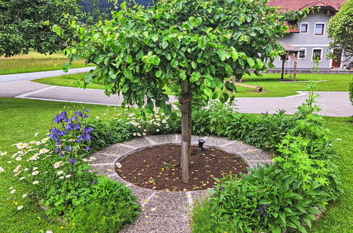 Foto 30 - Appartamento con 1 camera da letto a Oberwang con giardino
