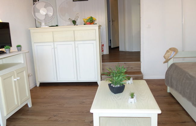 Apartamento de 1 quarto em Saint-Cyprien com piscina e jardim - Foto 21