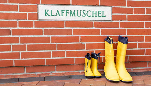 Casa de 3 quartos em Norden com jardim e terraço - Foto 2