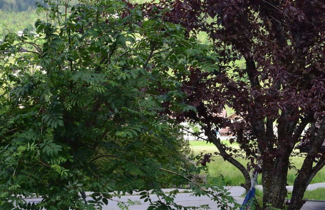 Gwunderstübli - Foto 9