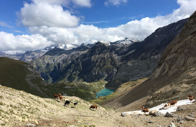 Gwunderstübli - Foto 30