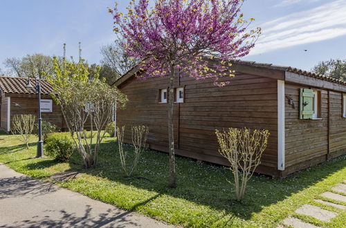 Photo 22 - 3 bedroom House in Lagorce with swimming pool and terrace