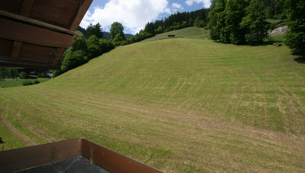 5 bedroom Apartment in Schwendau with garden - Photo 4