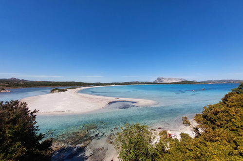 Foto 47 - Casa de 5 quartos em San Teodoro com piscina privada e jardim