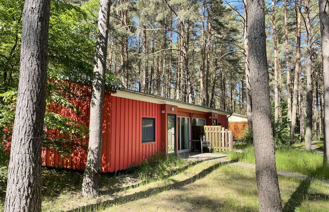 Casa de 2 quartos em Silz com jardim e terraço - Foto 5