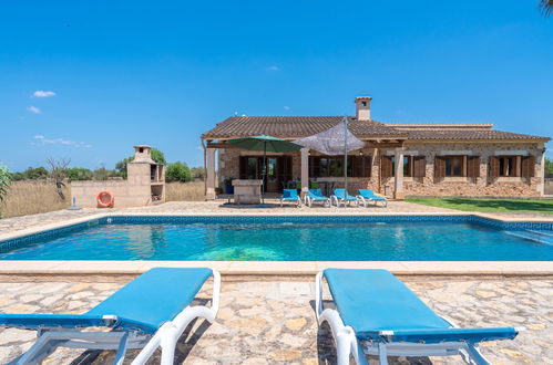 Photo 31 - Maison de 3 chambres à Felanitx avec piscine privée et jardin