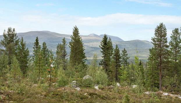 Haus mit 4 Schlafzimmern in Lofsdalen - Foto 5