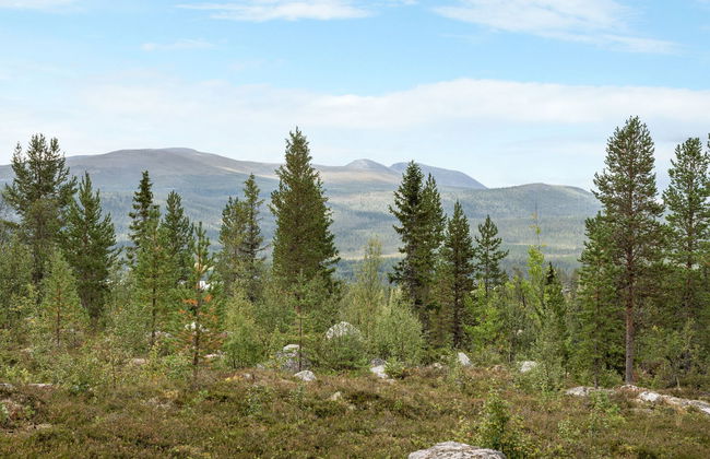 4 bedroom House in Lofsdalen - Photo 5