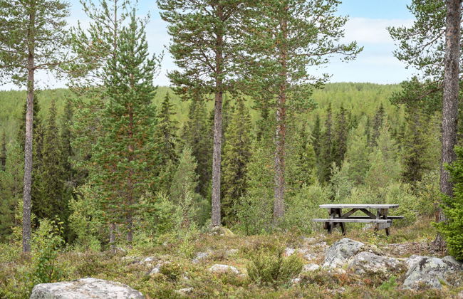 4 bedroom House in Lofsdalen - Photo 21