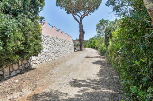 Foto 57 - Casa de 3 quartos em Capoliveri com piscina e jardim