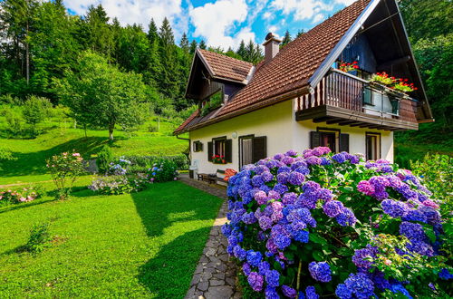Photo 2 - 3 bedroom House in Delnice with private pool and garden