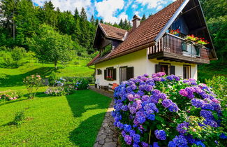 Photo 2 - 3 bedroom House in Delnice with private pool and garden