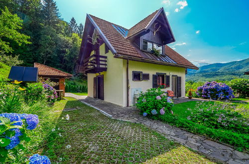 Photo 26 - 3 bedroom House in Delnice with private pool and garden