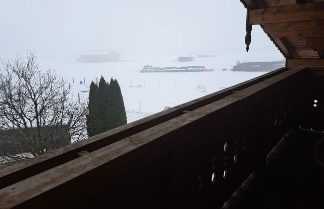 Appartamento con 2 camere da letto a Leogang con piscina e giardino - Foto 18