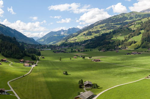 Foto 4 - Appartamento con 2 camere da letto a Lenk con giardino