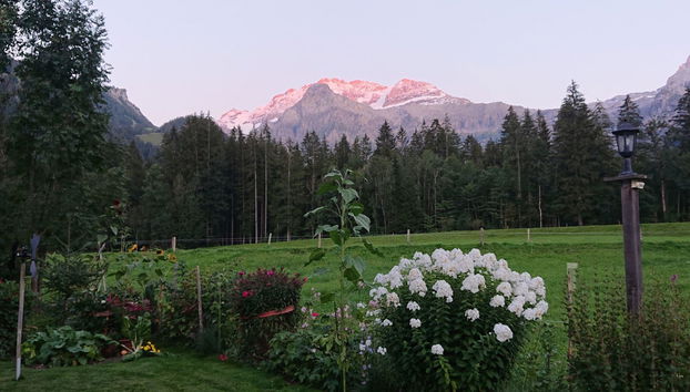 2 bedroom Apartment in Lenk with garden - Photo 5