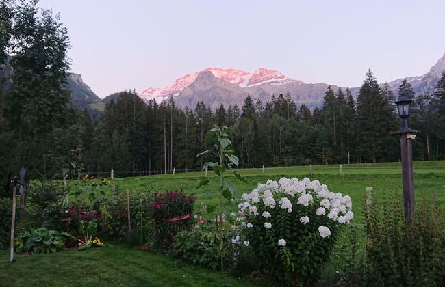 Apartamento de 2 quartos em Lenk com jardim - Foto 5