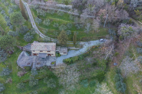 Foto 44 - Casa de 3 habitaciones en Cortona con jardín y terraza