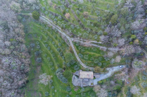 Foto 41 - Casa con 3 camere da letto a Cortona con giardino e terrazza