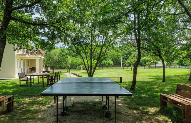 Apartamento de 2 quartos em Žminj com piscina e jardim - Foto 59