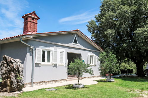 Foto 7 - Casa con 3 camere da letto a Kršan con piscina e giardino