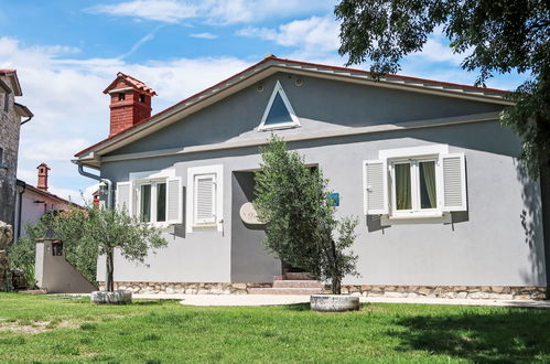 Photo 29 - Maison de 3 chambres à Kršan avec piscine et jardin