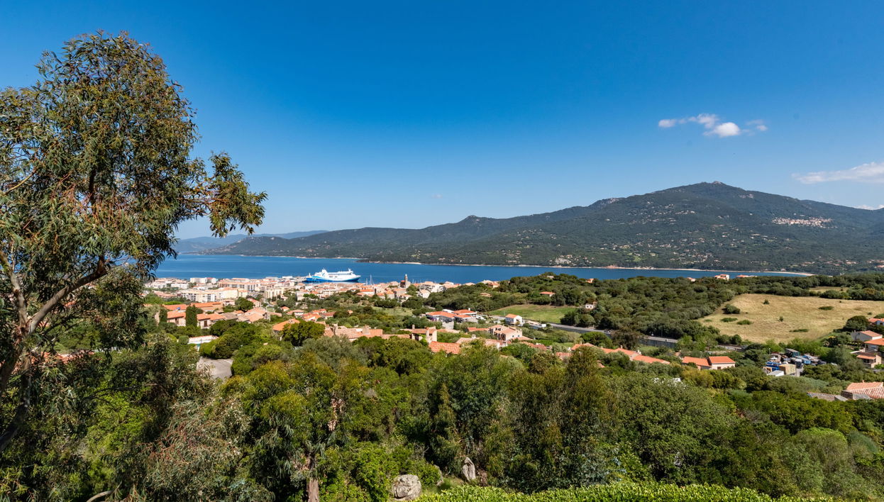 5 bedroom House in Propriano with garden and terrace - Photo 1