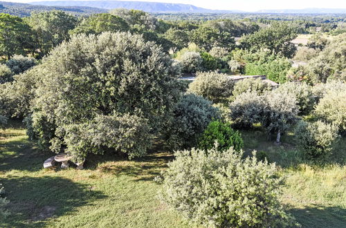 Foto 31 - Haus mit 3 Schlafzimmern in Saumane-de-Vaucluse mit privater pool und garten