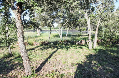 Foto 42 - Haus mit 3 Schlafzimmern in Saumane-de-Vaucluse mit privater pool und garten