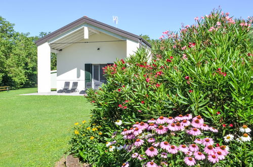 Foto 42 - Casa con 3 camere da letto a Mira con piscina e giardino