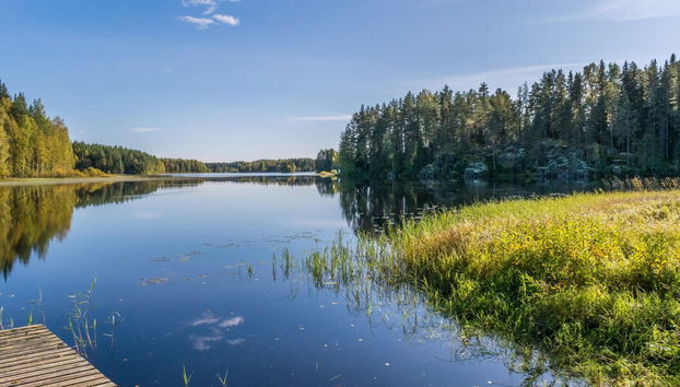 2 bedroom House in Kaavi with sauna - Photo 3