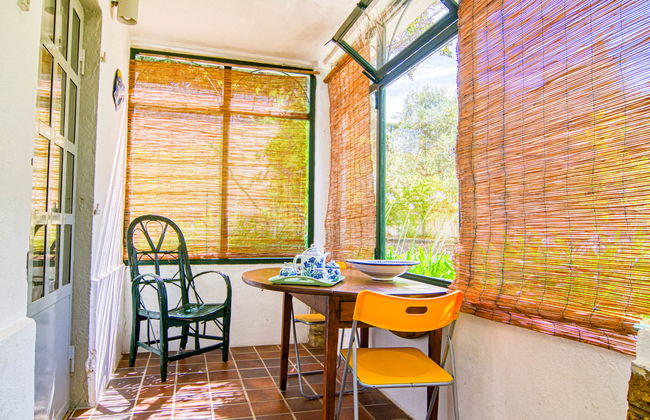 Apartamento de 2 quartos em Sanary-sur-Mer com piscina e jardim - Foto 10