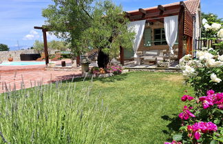 Photo 2 - Maison de 4 chambres à Zemunik Donji avec piscine privée et vues à la mer