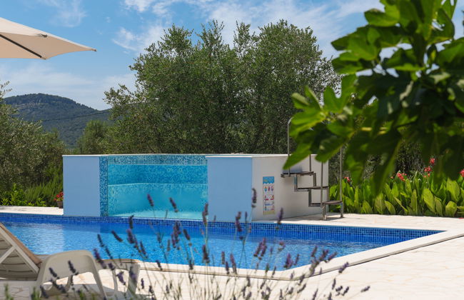 Casa de 4 quartos em Galovac com piscina privada e jardim - Foto 4