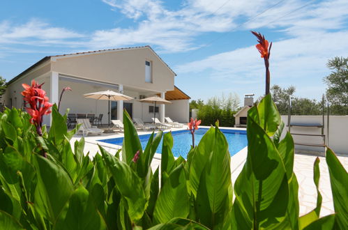 Photo 3 - Maison de 3 chambres à Galovac avec piscine privée et vues à la mer