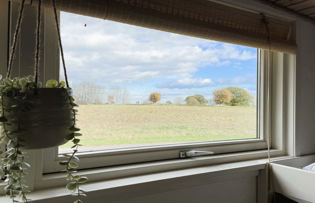 Casa de 6 quartos em Tranekær com piscina privada e terraço - Foto 61
