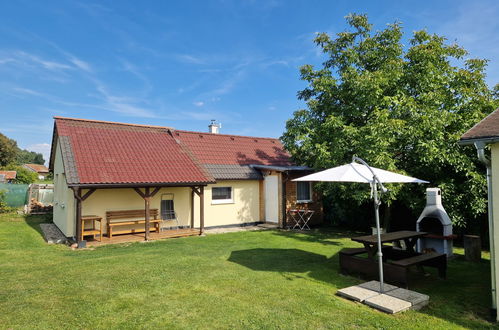 Foto 13 - Haus mit 1 Schlafzimmer in Velky Ratmirov mit privater pool