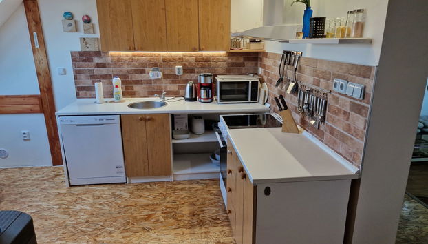 Haus mit 3 Schlafzimmern in Velky Ratmirov mit privater pool und garten - Foto 4