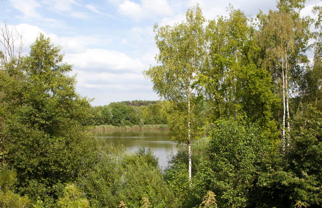 Casa de 1 quarto em Belfeld com piscina e terraço - Foto 28