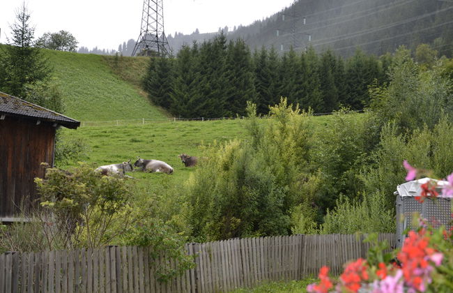 Appartamento con 2 camere da letto a Sankt Anton am Arlberg con giardino - Foto 4