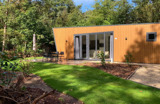 Casa de 3 quartos em Dwingeloo com piscina e terraço - Foto 14