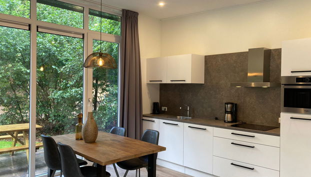 Maison de 3 chambres à Dwingeloo avec piscine et terrasse - Photo 3